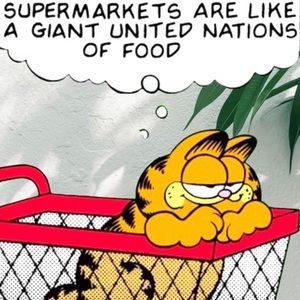 Rare Y2K Official Garfield Plush